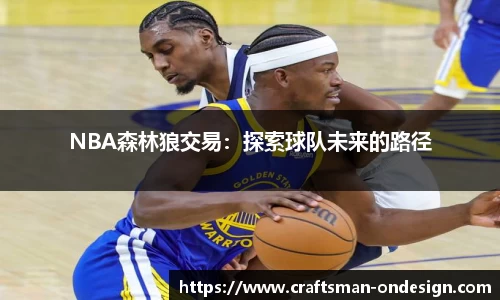 NBA森林狼交易：探索球队未来的路径